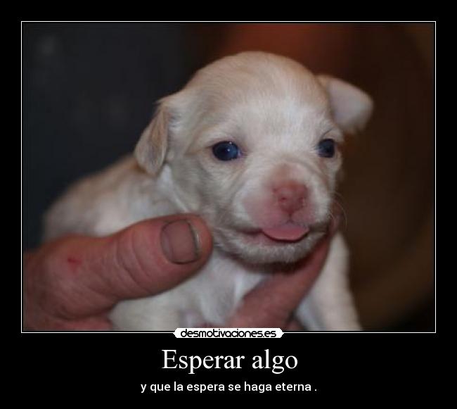 Esperar algo - y que la espera se haga eterna .