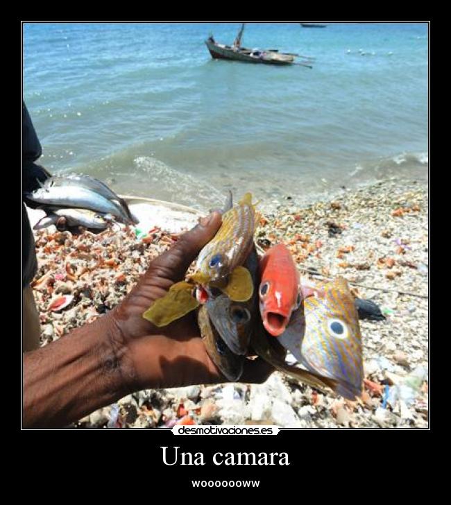 Una camara - wooooooww