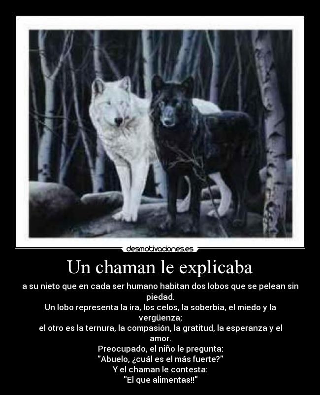 Un chaman le explicaba - 