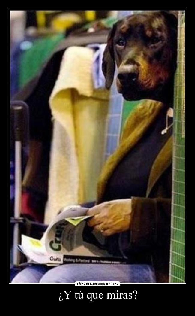 ¿Y tú que miras? - 