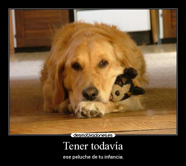 Tener todavía -