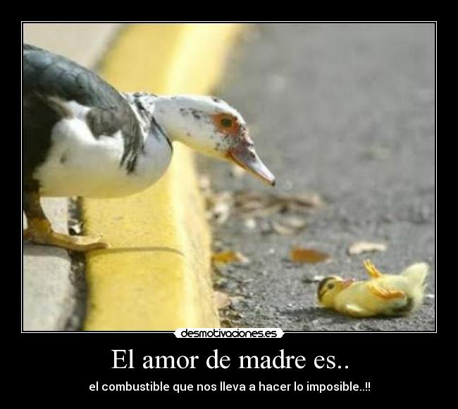 El amor de madre es.. -