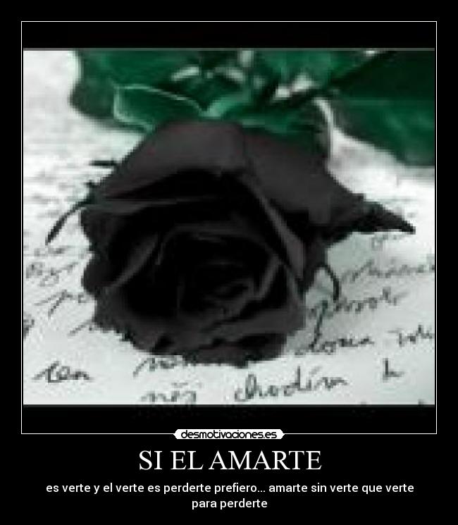 SI EL AMARTE - es verte y el verte es perderte prefiero... amarte sin verte que verte para perderte