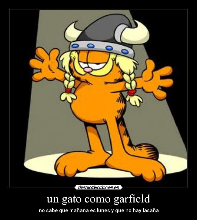un gato como garfield - no sabe que mañana es lunes y que no hay lasaña