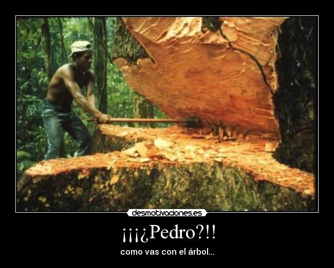 ¡¡¡¿Pedro?!! - 