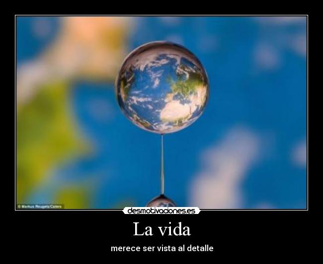 carteles vida imagenes increibles desmotivaciones