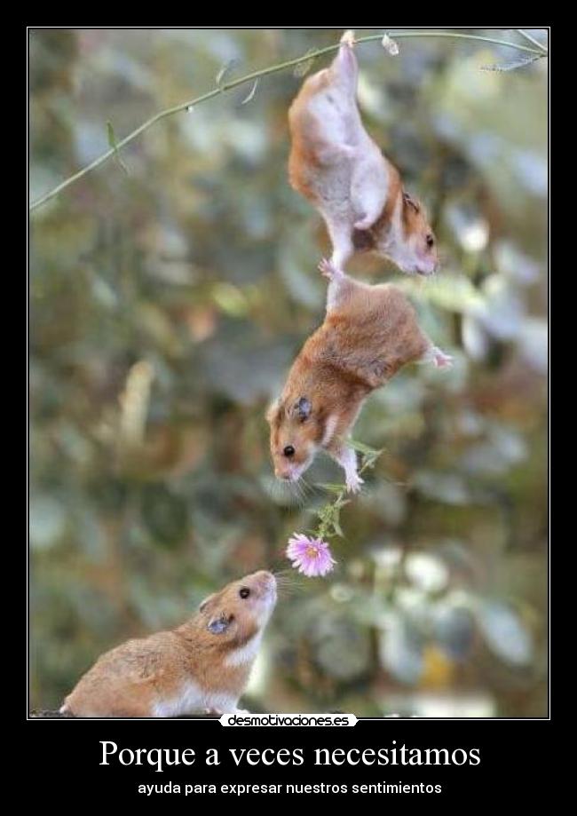 Porque a veces necesitamos - ayuda para expresar nuestros sentimientos