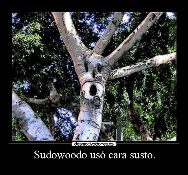Sudowoodo usó cara susto. -