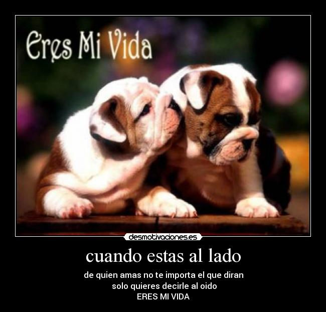 cuando estas al lado - 
