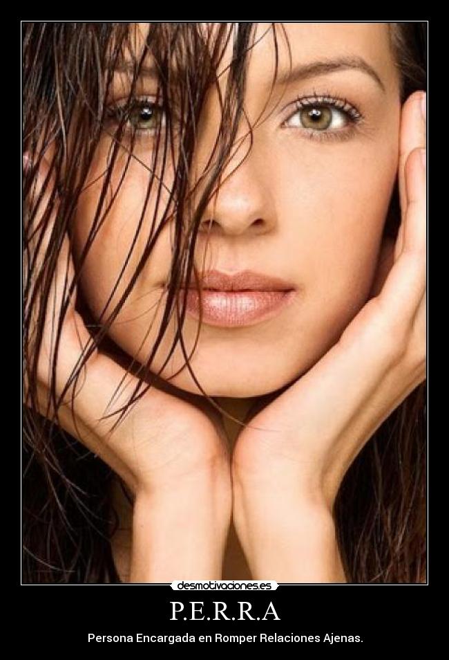 carteles perra desmotivaciones