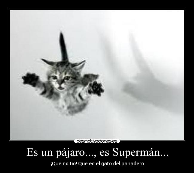 Es un pájaro..., es Supermán... - ¡Qué no tío! Que es el gato del panadero