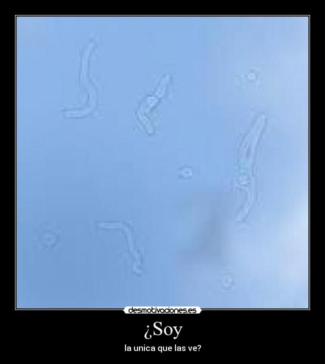 carteles yop desmotivaciones