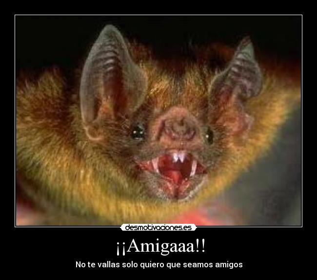 carteles xddddddddddddddddddddddddddddddddddd bybeeeeeeeeeeeeeeeeeeeeee desmotivaciones