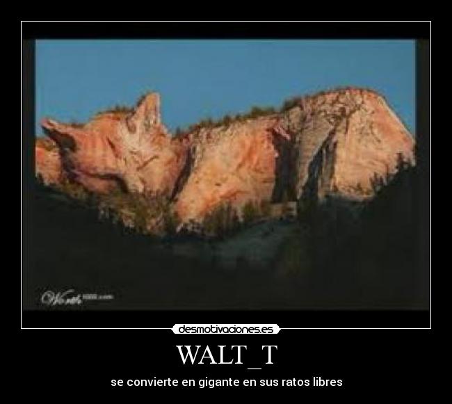 WALT_T -