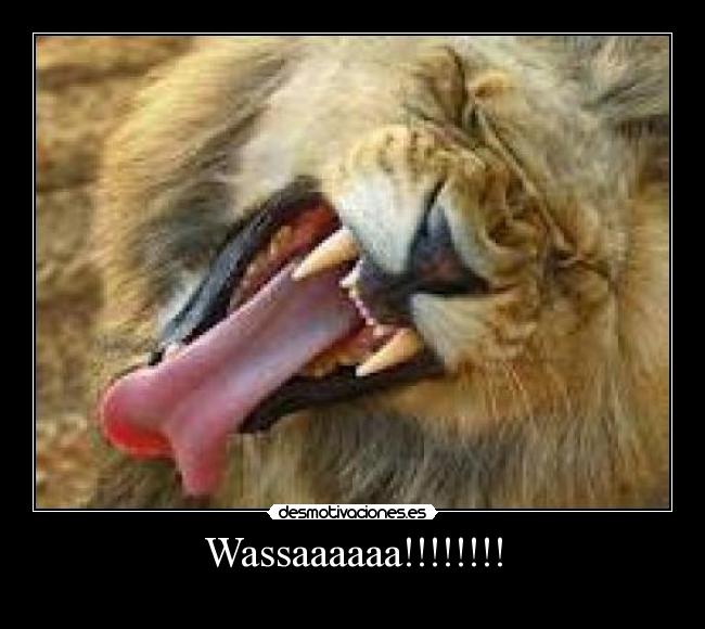 Wassaaaaaa!!!!!!!! - 
