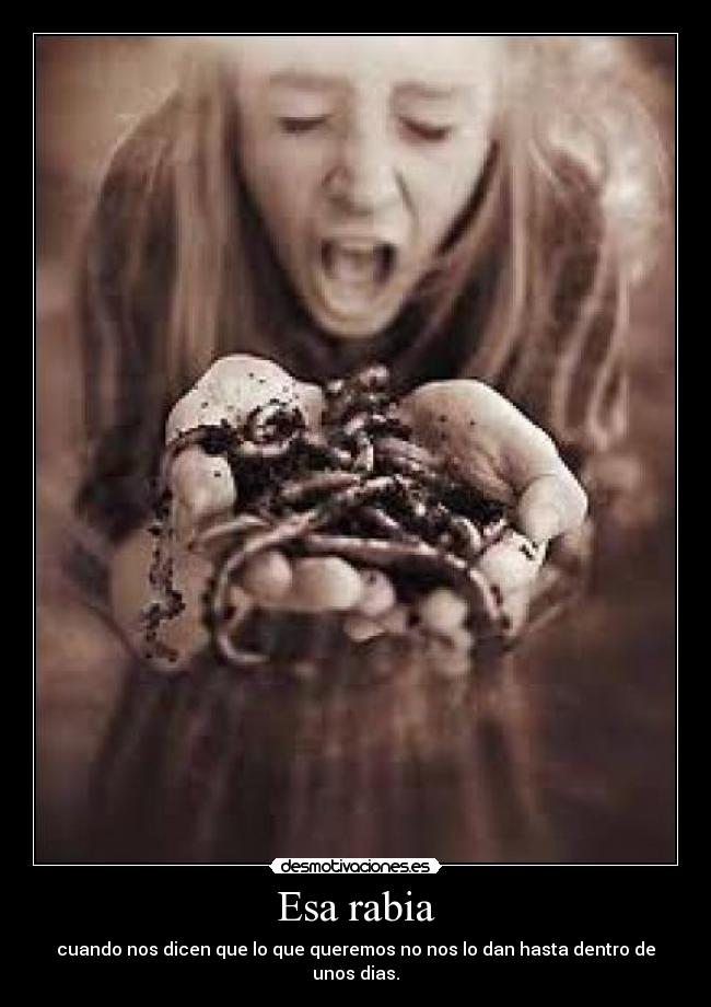 Esa rabia - cuando nos dicen que lo que queremos no nos lo dan hasta dentro de unos dias.