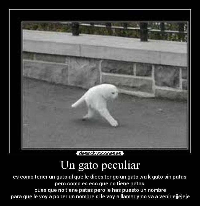 Un gato peculiar - es como tener un gato al que le dices tengo un gato ,va k gato sin patas 
pero como es eso que no tiene patas 
pues que no tiene patas pero le has puesto un nombre
para que le voy a poner un nombre si le voy a llamar y no va a venir ejjejeje