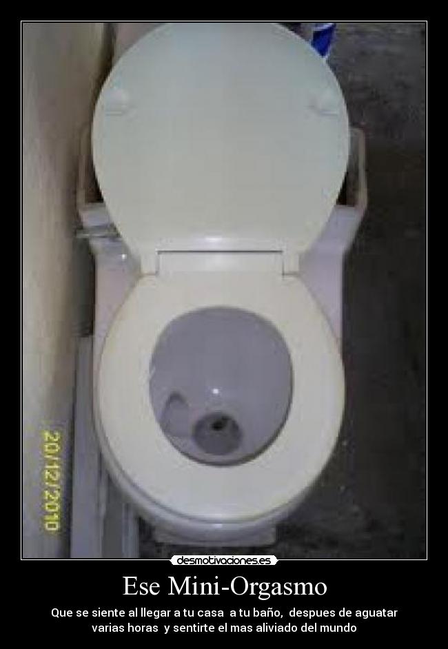 Ese Mini-Orgasmo - Que se siente al llegar a tu casa a tu baño, despues de aguatar
varias horas y sentirte el mas aliviado del mundo