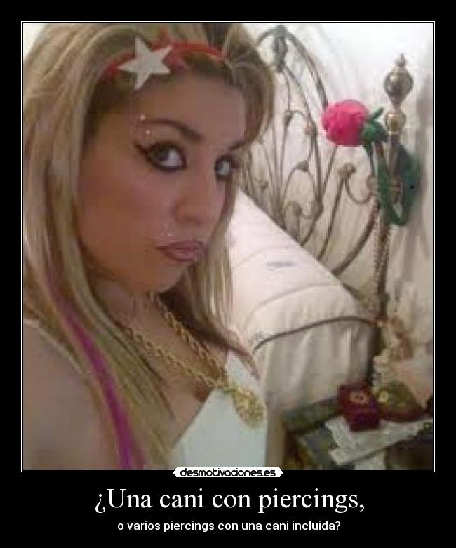 ¿Una cani con piercings, -