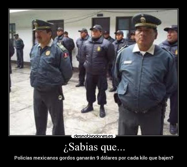¿Sabias que... - Policías mexicanos gordos ganarán 9 dólares por cada kilo que bajen?