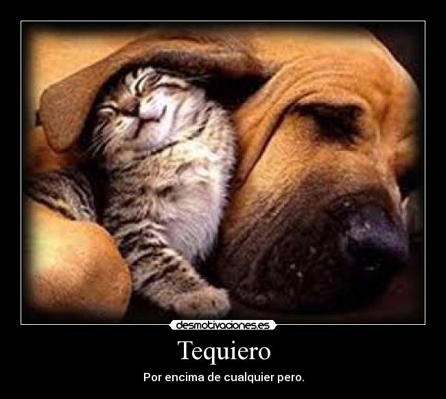 Tequiero - Por encima de cualquier pero.