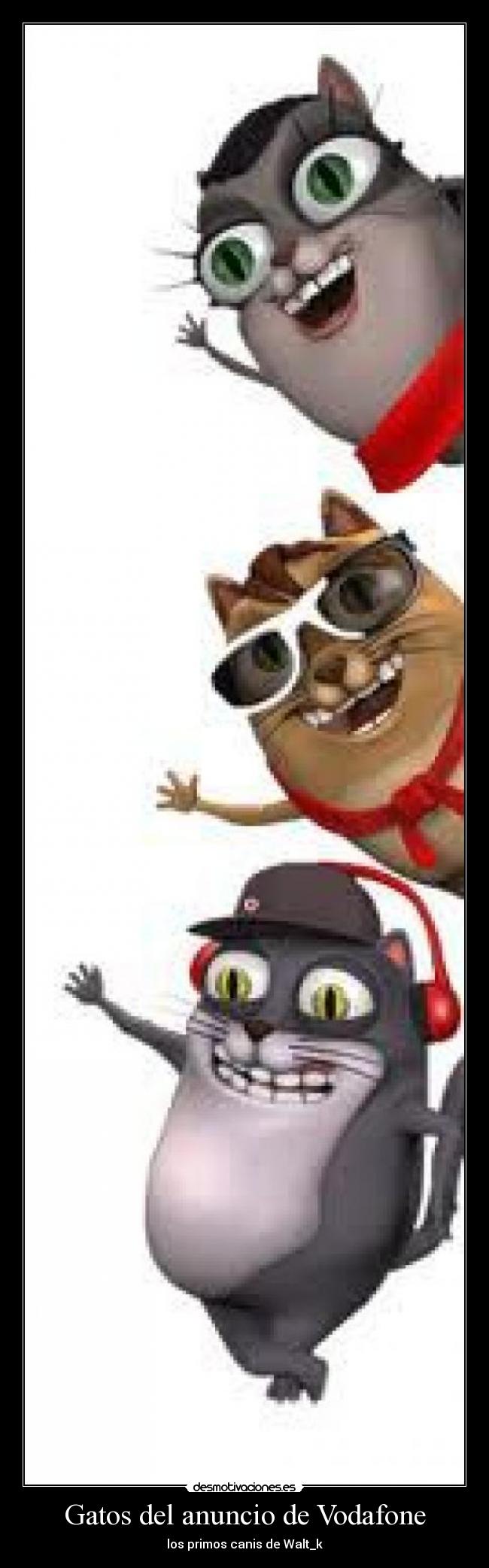 Gatos del anuncio de Vodafone - los primos canis de Walt_k