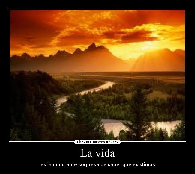 carteles vida vida sorpresa desmotivaciones