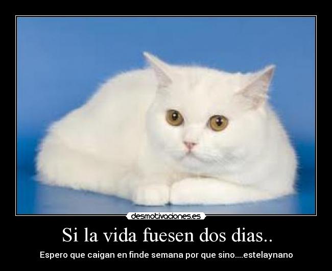 Si la vida fuesen dos dias.. -
