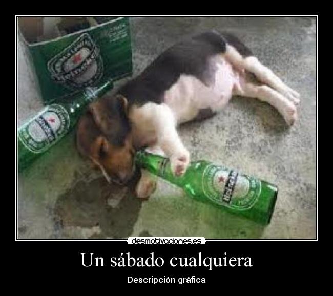 Un sábado cualquiera - Descripción gráfica