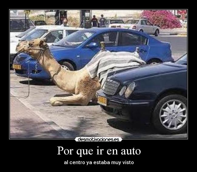 Por que ir en auto -