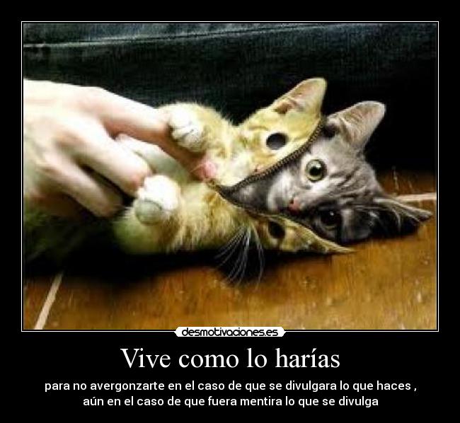 Vive como lo harías - 