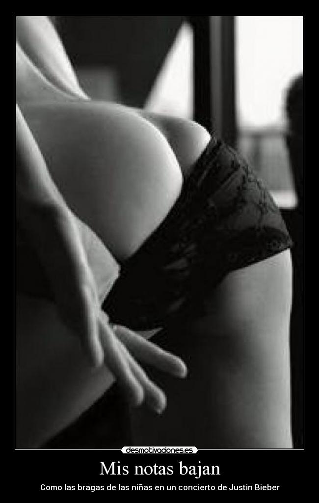 carteles brauno21 desmotivaciones