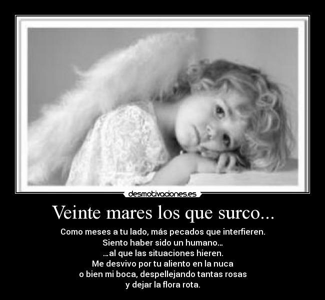 Veinte mares los que surco... - Como meses a tu lado, más pecados que interfieren.
Siento haber sido un humano…
…al que las situaciones hieren.
Me desvivo por tu aliento en la nuca
o bien mi boca, despellejando tantas rosas
y dejar la flora rota.