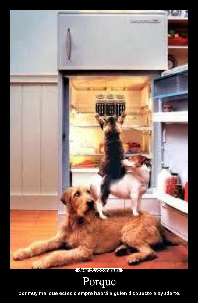 Porque - por muy mal que estes siempre habrá alguien dispuesto a ayudarte.