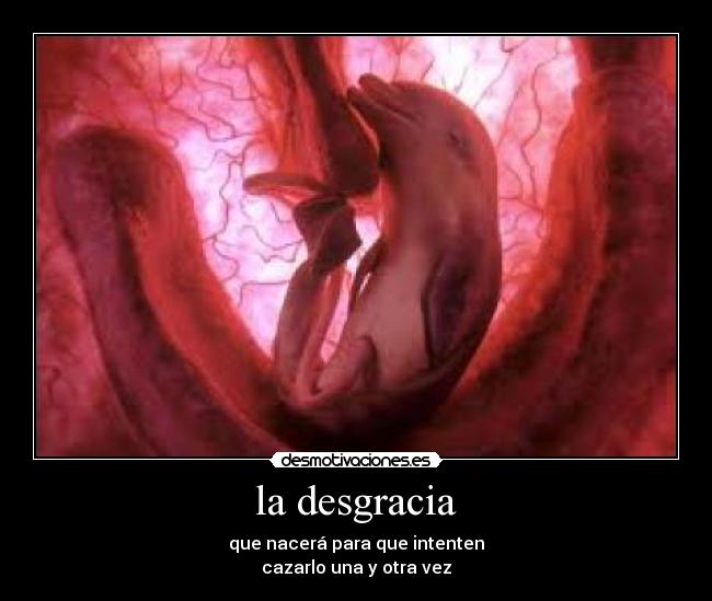 la desgracia - 