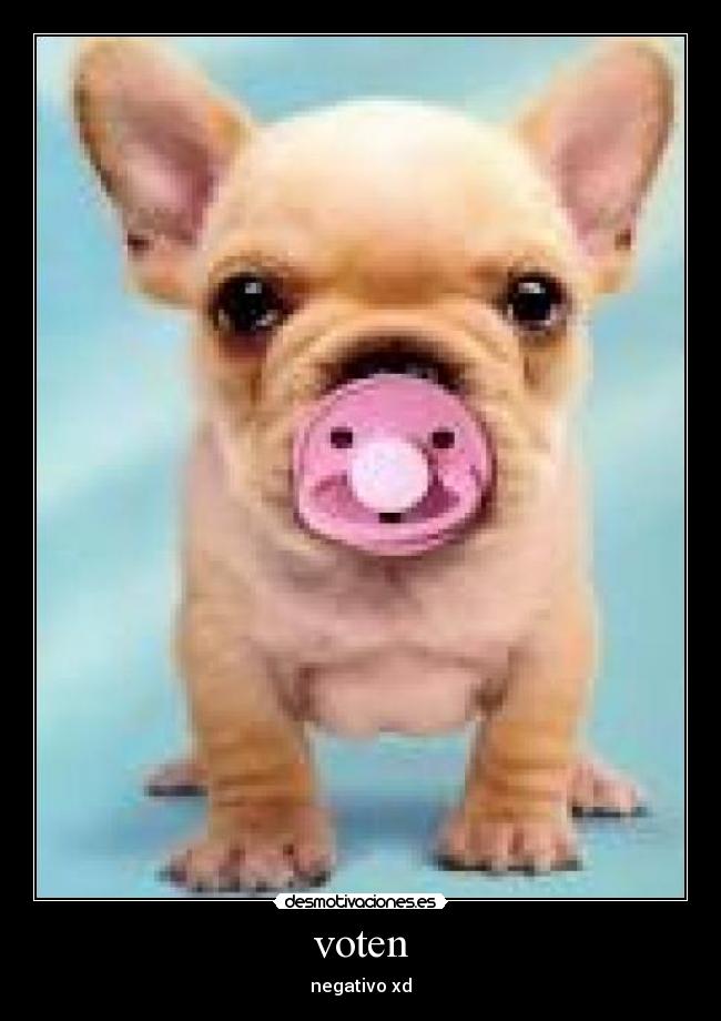 voten - negativo xd