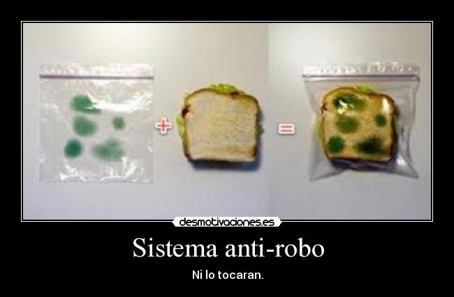 Sistema anti-robo - 