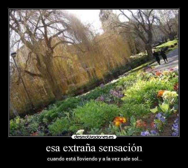 esa extraña sensación -
