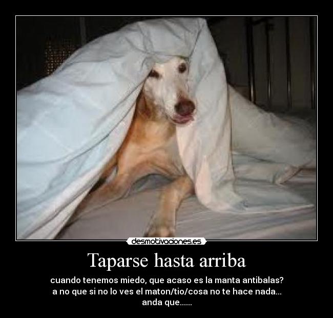 Taparse hasta arriba - cuando tenemos miedo, que acaso es la manta antibalas?
a no que si no lo ves el maton/tio/cosa no te hace nada...
anda que......