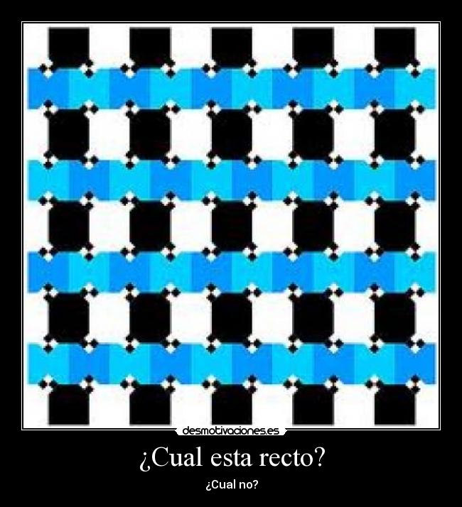 ¿Cual esta recto? - ¿Cual no?
