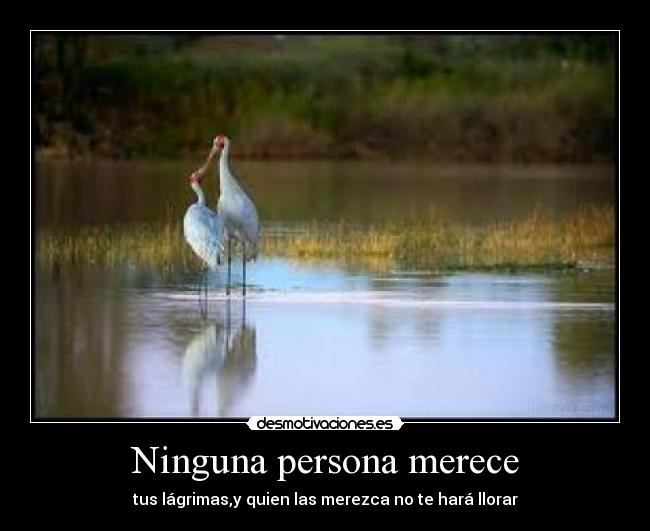Ninguna persona merece - tus lágrimas,y quien las merezca no te hará llorar