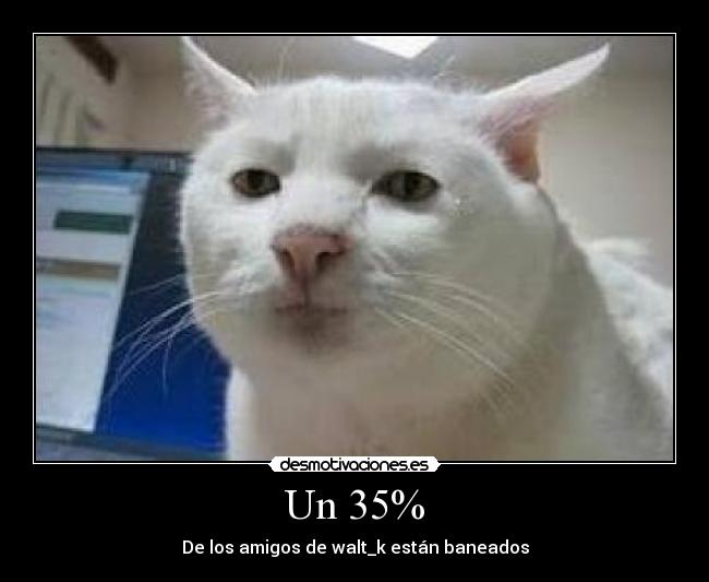 Un 35% - De los amigos de walt_k están baneados