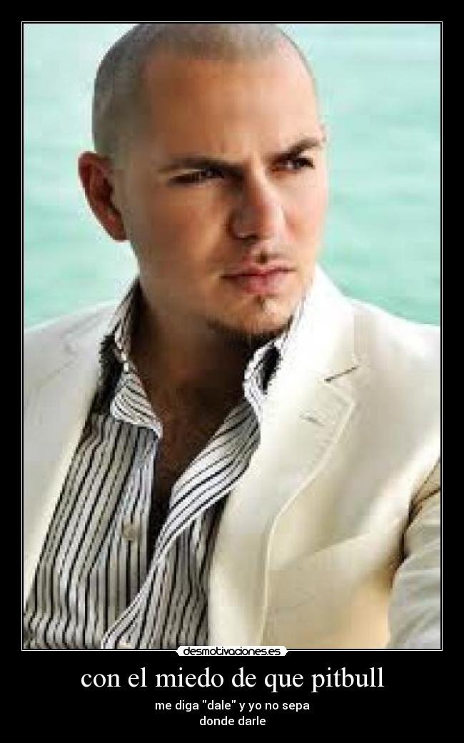 con el miedo de que pitbull - 