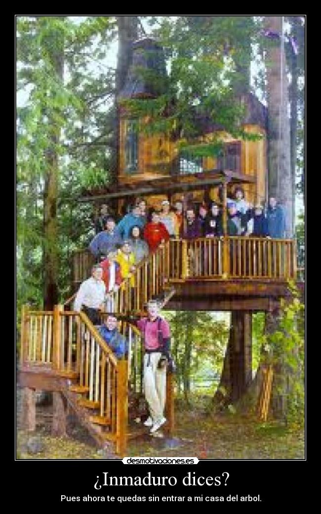 ¿Inmaduro dices? - Pues ahora te quedas sin entrar a mi casa del arbol.