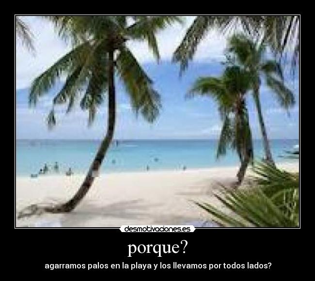 porque? - agarramos palos en la playa y los llevamos por todos lados?