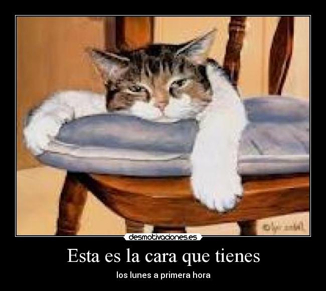 Esta es la cara que tienes - los lunes a primera hora