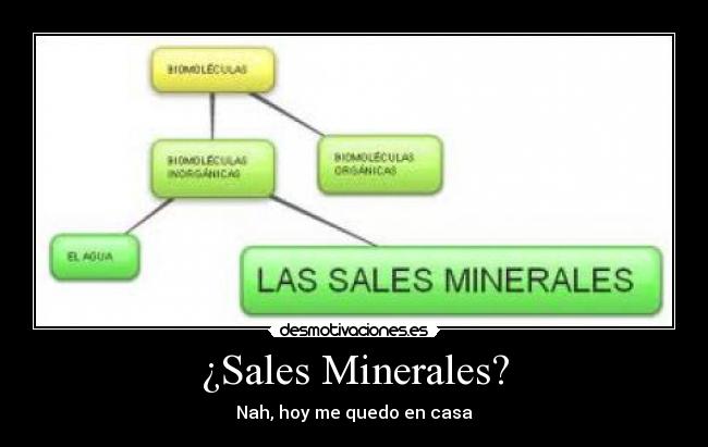 ¿Sales Minerales? - Nah, hoy me quedo en casa