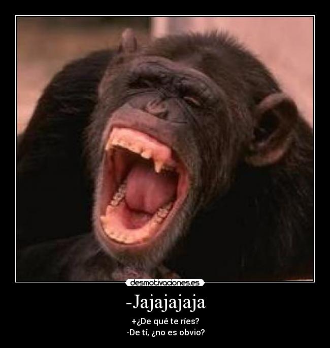 -Jajajajaja - 