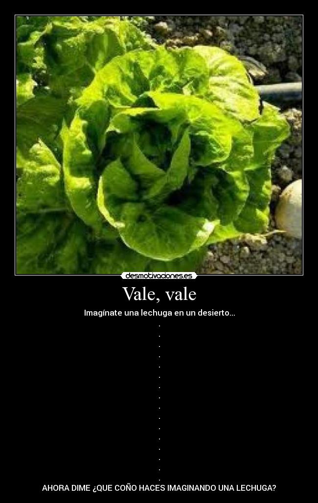 Vale, vale - Imagínate una lechuga en un desierto...
.
.
.
.
.
.
.
.
.
.
.
.
.
.
.
.
AHORA DIME ¿QUE COÑO HACES IMAGINANDO UNA LECHUGA?