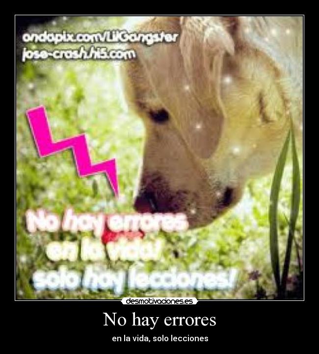 No hay errores - en la vida, solo lecciones